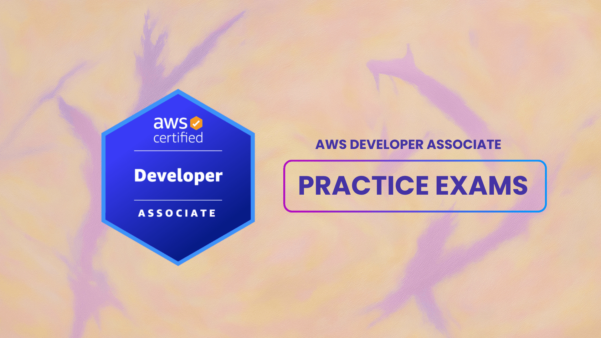 AWS Developer Associate Practice Exam Sets